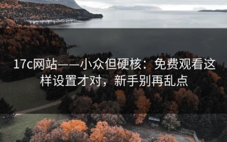 17c网站——小众但硬核：免费观看这样设置才对，新手别再乱点