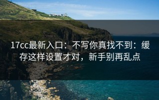 17cc最新入口：不写你真找不到：缓存这样设置才对，新手别再乱点