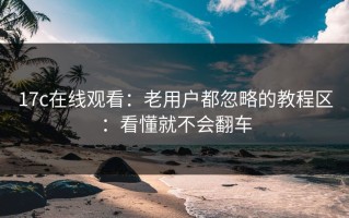 17c在线观看：老用户都忽略的教程区：看懂就不会翻车