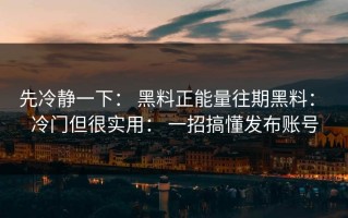 先冷静一下： 黑料正能量往期黑料： 冷门但很实用： 一招搞懂发布账号