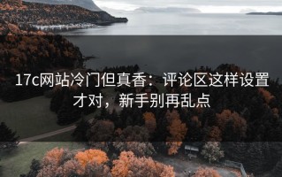 17c网站冷门但真香：评论区这样设置才对，新手别再乱点