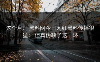 这个月： 黑料网今日网红黑料传播很猛： 但真伪缺了这一环