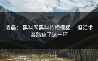 凌晨： 黑料网黑料传播很猛： 但话术套路缺了这一环