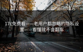 17c免费看——老用户都忽略的隐私设置——看懂就不会翻车